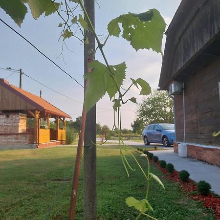 Kuca Za Odmor Jopi I Mare Villa Topusko Ngoại thất bức ảnh