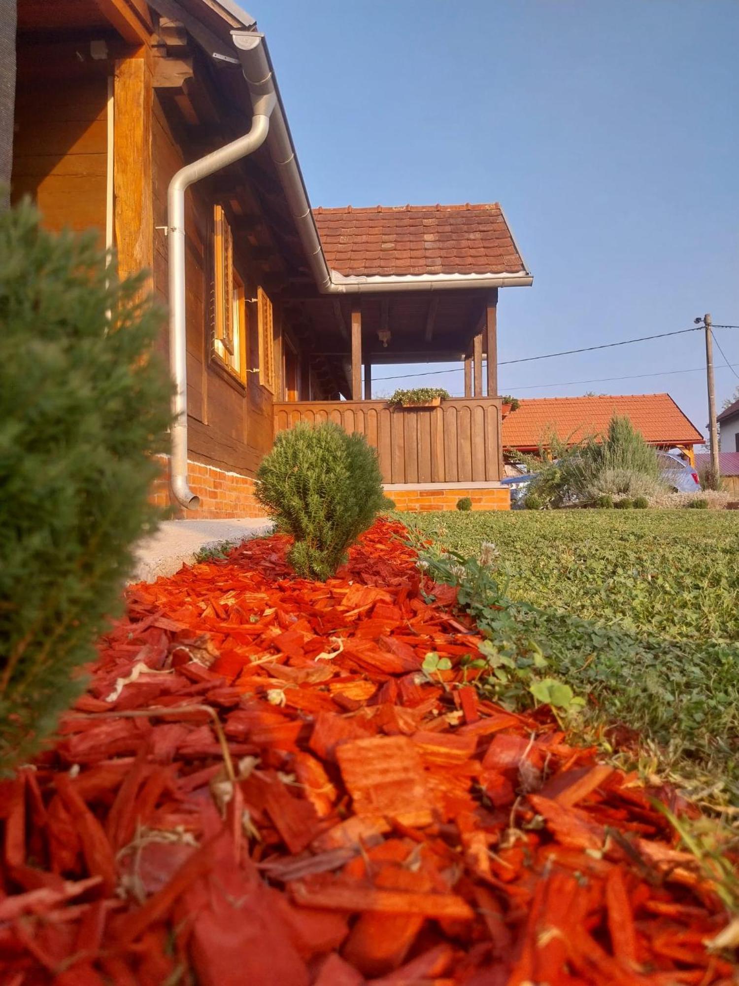Kuca Za Odmor Jopi I Mare Villa Topusko Ngoại thất bức ảnh